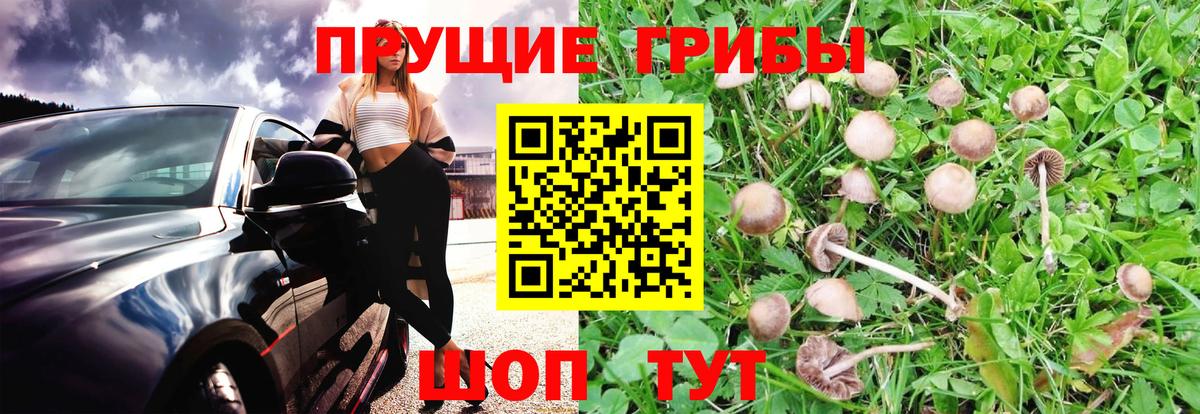 Псилоцибиновые грибы мухоморы Пыть-Ях